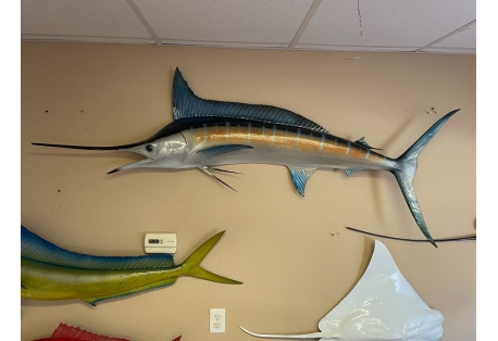 Realistic  Made Blue Marlin Fish Replica Made in USA 
