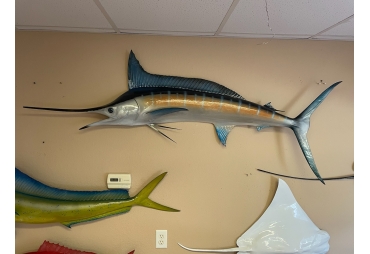 Blue Marlin Half Mount Fish Replica