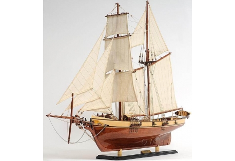 American Famous Ship Model Replica  Baltimore Clipper  Harvey 