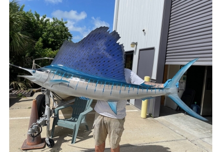 This stunning 110" Pacific Sailfish Fish Mount is in stock, for sale and ready to ship.