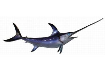 Swordfish Replica 