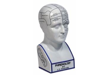 Phrenology Head Bust 