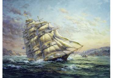 Clipper Ship Surprise by Nicky Boehme 