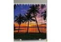 Shower Curtain Sunset Palm Beach 