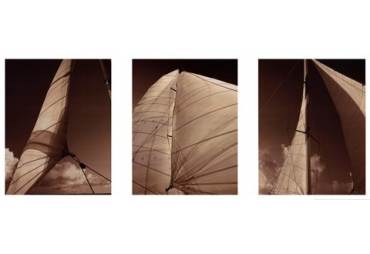 Windward Sails Triptych