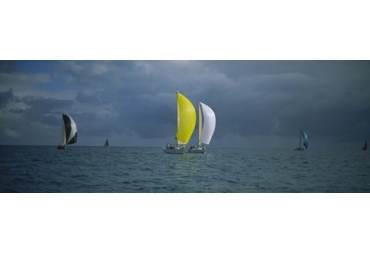 Sailboat racing in the ocean, Key West, Florida, USA