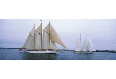 Sailboats in the sea, Narragansett Bay, Newport, Newport County, Rhode Island, USA