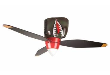 Indoor Ceiling Fan