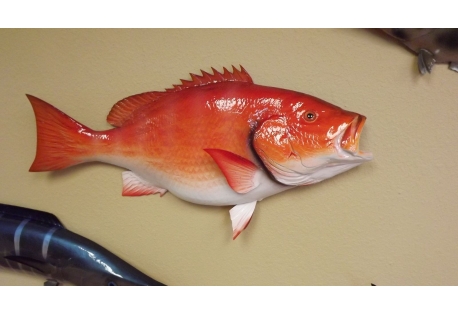 32" RED SNAPPER HALF MOUNT FISH REPLICA