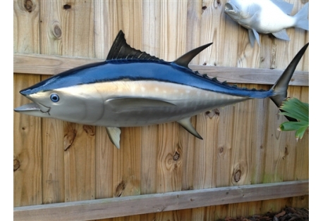 Bluefin Tuna Full Mount Fish Replica