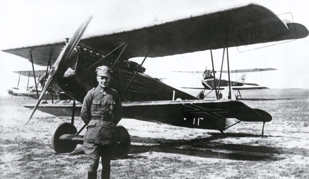 Vintage Flights And Aviation Red Baron Triplane