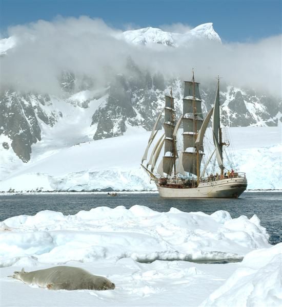 Sailing Antarctica