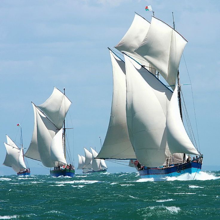 Tall Ships Racing