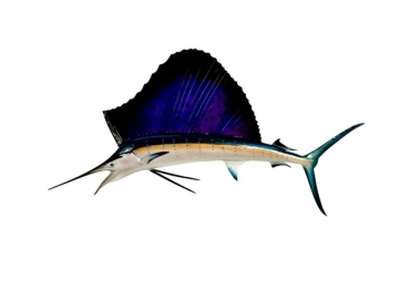 60" Atlantic Sailfish Half Mount Replica