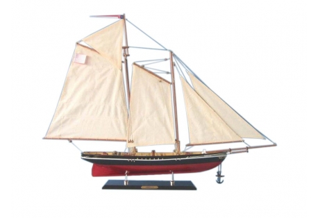 Wooden Sailboat Model America Limited 35"