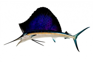 60" Atlantic Sailfish Half Mount Replica