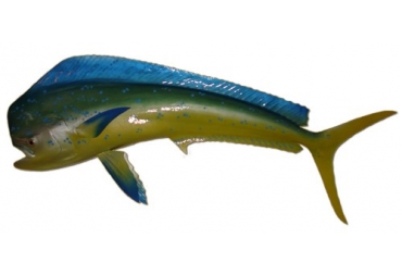 50" Mahi Half Mount Fish Replica