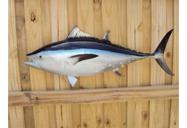 Bluefin Tuna Fish Replica 38"