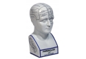 Phrenology Head Bust 