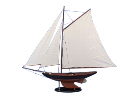 Newport Sloop 50"