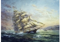 Clipper Ship Surprise by Nicky Boehme 