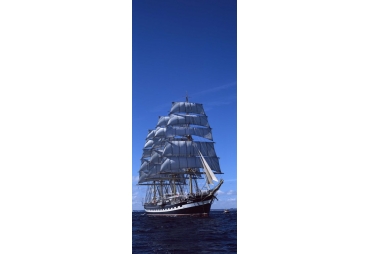 Tall ships race in the ocean, Baie De Douarnenez, Finistere, Brittany, France