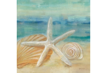 Horizon Shells Art