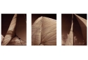 Windward Sails Triptych