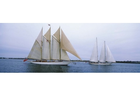 Sailboats in the sea, Narragansett Bay, Newport, Newport County, Rhode Island, USA